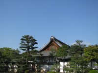 IMG_3317.JPG